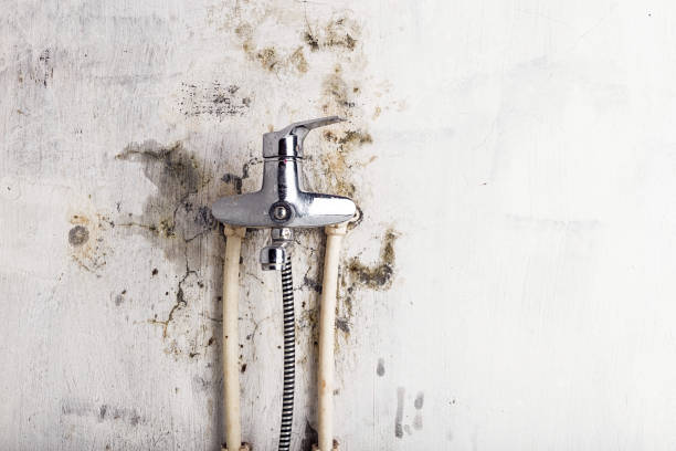 Best Mold Testing and Inspection Services in Port Monmouth, NJ